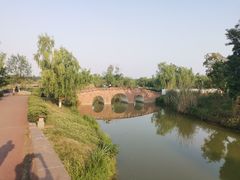 -白鹭湾湿地公园