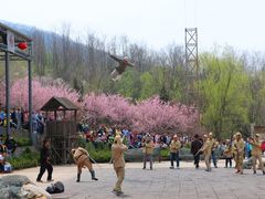 -雪山彩虹谷景区