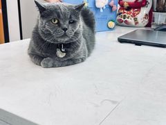 -贝康宠物医院·犬猫全科·小动物特色诊疗中心(东环路店)