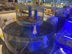 -新海渔港·胶东海鲜家常菜·家宴(奥体中心店)