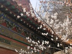 -天津盘山风景名胜区