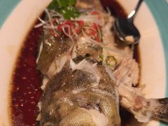 -百富源·海鲜辽菜(浑河堡店)