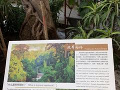 -北京植物园-展览温室