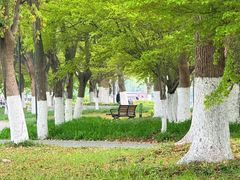 -范蠡湖公园