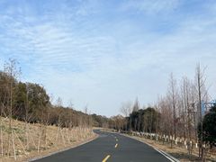 -郑和公园