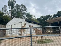 -泉州海丝野生动物世界