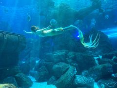 -波塞冬旅游度假区