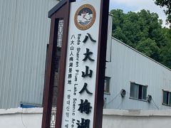 -八大山人梅湖景区