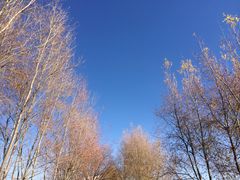 -南诏风情岛
