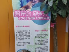 -美联众合动物医院(·中兽医·疑难杂症·严家桥分院)