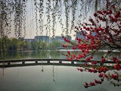 -南京航空航天大学(将军路校区)