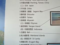 -盘古掌冲浪俱乐部(日月湾店)