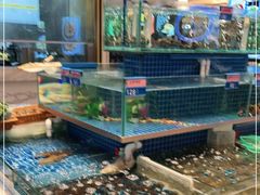 水产区-阿明小菜·海鲜·上海菜(梅陇华理店)