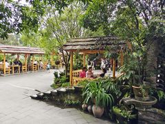 -青城甲(青城山店)