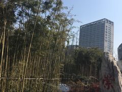 -唐城墙遗址公园