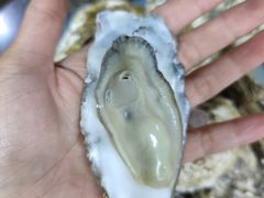 -忠记湛江烧蚝店
