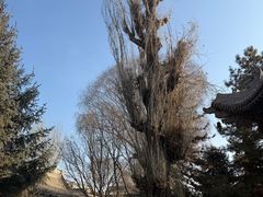 -张掖大佛寺景区