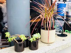 -BeauTea水仙(coco park店)