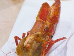 -杨氏青龙虾·羊蝎子(珠江路店)