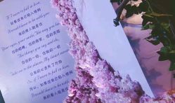 -忆江南婚礼策划(姑苏店)