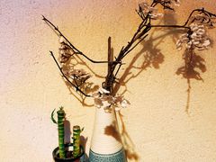-熊串烧亭.居酒屋(珠江路店)
