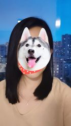 -I+造型烫发染发