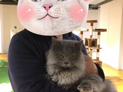 -三花喵·撸猫购宠·宠物生活馆(虹桥南丰城店)