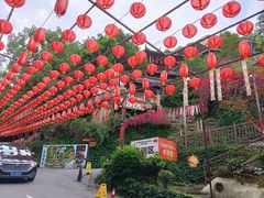 -巴倒烫陆派火锅山庄(南山总店)