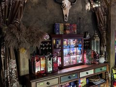 -雪灵魔法世界SHELLY’S TAROT(大良桂畔里店)