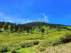 -秦岭风景区