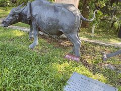 -广州神农草堂中医药博物馆