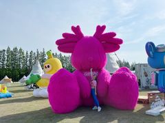 -上海长兴岛郊野公园