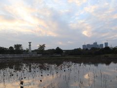 -中澳友谊花园