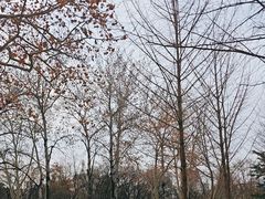 -渭滨公园