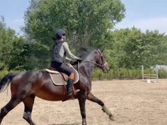 -北京群众马术培训基地