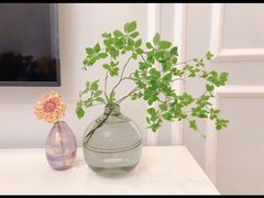 -苹果花园(金耀南路店)