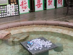 -天目湖涵田半山温泉