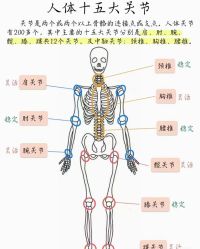 -卡莫瑜伽·普拉提
