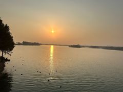 -贡湖湾湿地公园