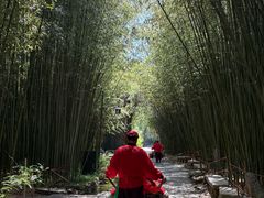 -竹泉村旅游度假区