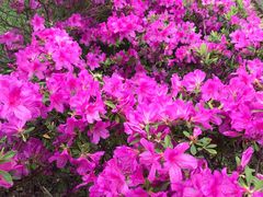 -艾溪湖湿地公园