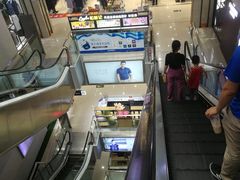 -乐汇城