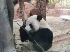 -南宁市动物园