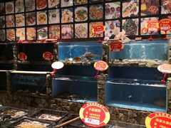 水产区-花溪雨·森林餐厅(石基店)