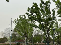-宁波宁兴新宇奔驰4S店(庄市店)