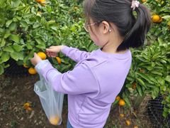 -前小桔亲子创意农场·草莓采摘·露营烧烤