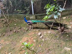 -泉州海丝野生动物世界