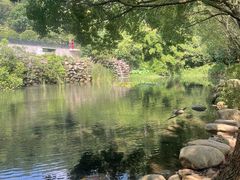 -九龙潭景区