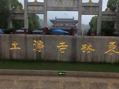 -庐山风景名胜区-东林大佛