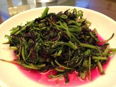 -蓝天清水湾国际大酒店